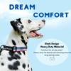 ShawnCo Dream Walk Dog Collar- Premium, Adjustable and Comfortable Pet