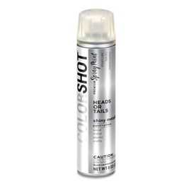 COLORSHOT Metallic Spray Paint Heads or Tails (Silver) 8 oz.
