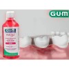 Paroex Colutorio Gum Accion Intensiva 500ml Placa Y Cirugía