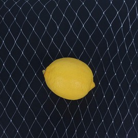 PinnacleT1 White Garden Netting, 19.7ft X 33ft, Bird Protection, Nylon, UV and Rot Resistant, Reusable, Fencing for Plants, Fruits, Pond, Wildlife Friendly