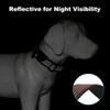 Plutus Pet Tactical Dog Collar with Tracker Pocket for AirTag,