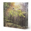 MIJOMA Soundbox with Bird Singing and Forest Backdrop - Soothing