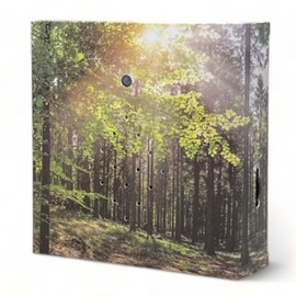 MIJOMA Soundbox with Bird Singing and Forest Backdrop - Soothing Relaxation for Your Home | Speaker, Motion Sensor & On/Off Switch | Ideal for Bathroom, Hallway, Office & Living Room | 12 x 12 cm