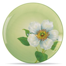 Noritake Colorwave Apple Set of 4 Floral Accent Plates, 8-1/4"