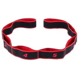 GIMIRO Fitness Elastic Band, Segmented Resistance Band for Yoga, Pilates, Dance, Stretch Band, Rehabilitation, Tension Band (Red - 8 Loops)