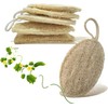 Esponja Natural de Lufa Ecológica para Platos y Cocina (5