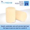 Flents Ear Plugs, 10 Pair with Case, Ear Plugs for