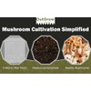 Pasteurized Manure Based Mushroom Substrate (25 lbs)