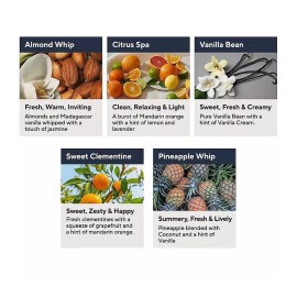 Josie Maran Argan Whipped Sugar Balm Body Scrub 10oz-Almond Whip-NEW-A5506