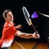 LED Badminton Birdies, Arespark Pack-8 Badminton Shuttlecocks LED, Dark Night