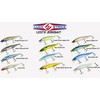 Luck E Strike STX Jerkbait, 4.5 Inch Hydrodynamic Fishing Lure,