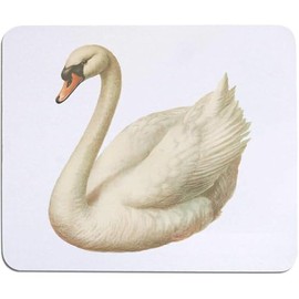 Azeeda 'Weißer Schwan ' Maus Matte/Schreibtisch Pad (MO00034142)