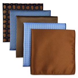 SHLAX&WING 5 Pieces Assorted Mens Silk Pocket Square Handkerchiefs Set Lot 91