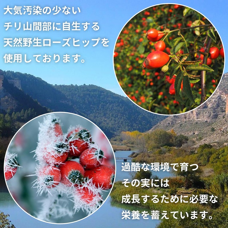 NICHIGA Natural Wild Rose Hip Powder, 7.1 oz (200 g)