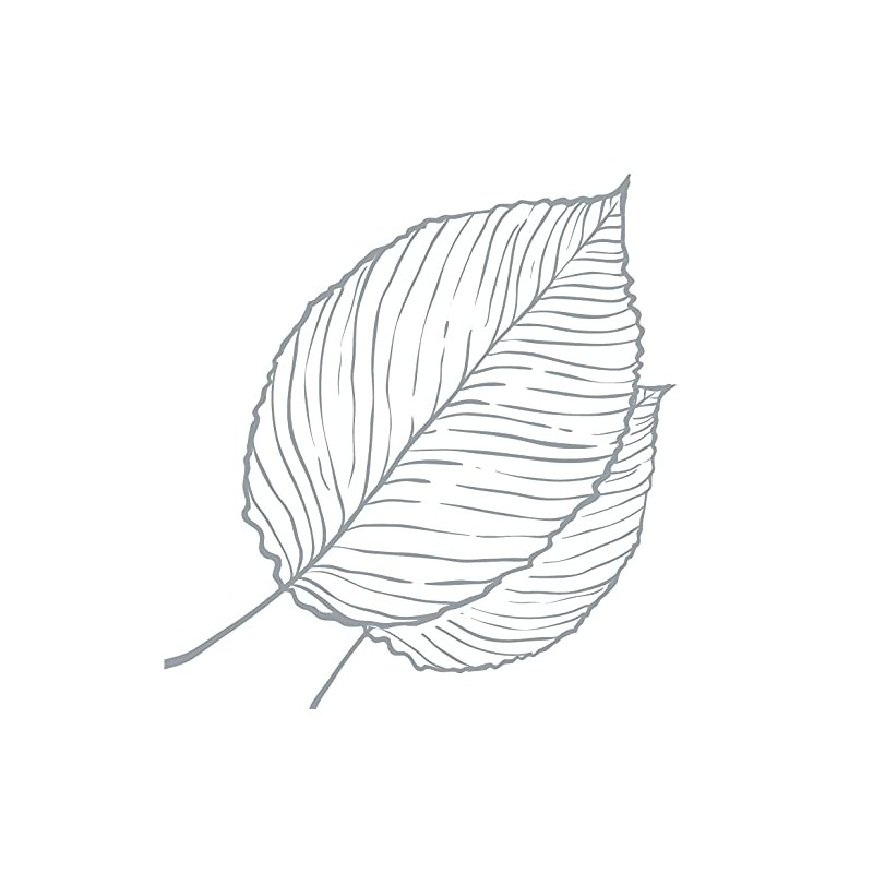 Arm & Hammer ARM & Hammer Essentials Solid Deodorant Unscented