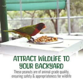 Sneaky Mango Raw Out of Shell Peanuts - 5 Pounds - Shelled Peanuts for Birds – Wildlife Quality - Food for Squirrels, Deer, Birds, and Other Wildlife Animals – Grown in The USA