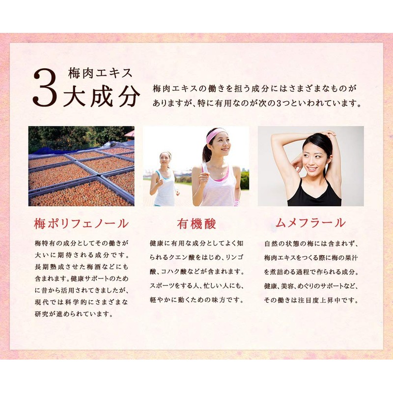 シードコムス 梅肉エキス サプリメント 約3ヶ月分 90粒 クエン酸 りんご酸 ムメフラース