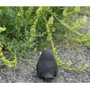 Stone and Style Stone Figure Bird Blackbird Frost Resistant Weatherproof