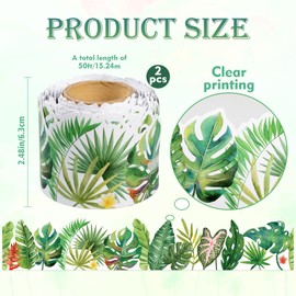 2 Rolls 50ft Greenery Bulletin Board Border Decorations - Boho Die-Cut Green Classroom Border Trim Greenery Plant Tropical Leaves Bulletin Board Trim for Tropical Jungle Classroom Home Office Decor