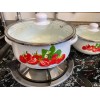 MEGA COOK 6 PC Strawberries Stock Pot Enamel