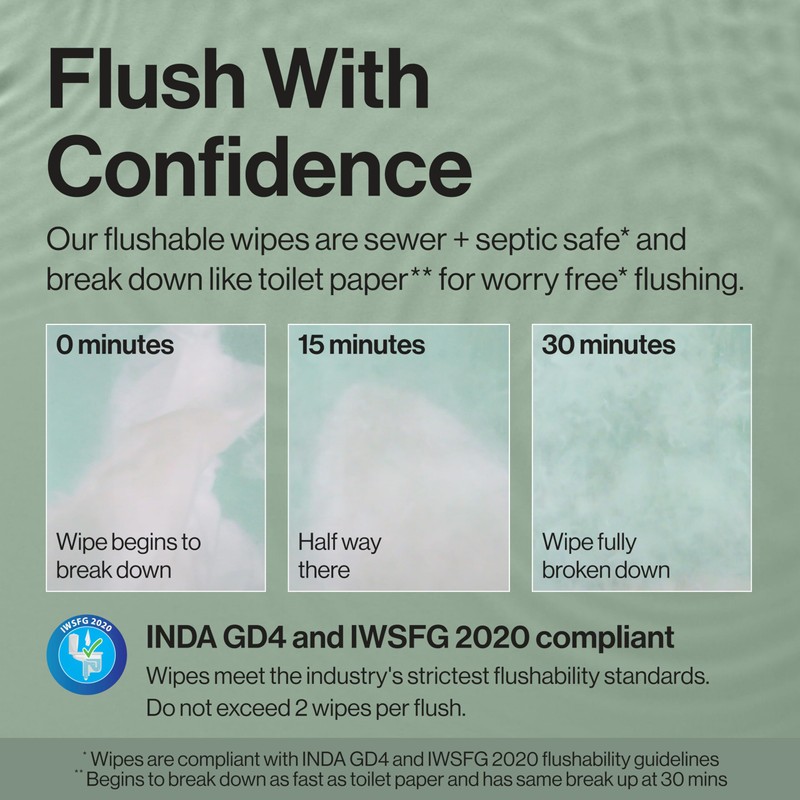 The Honest Company Hypoallergenic Flushable Wipes for Sensitive Skin, Gilded