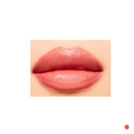 MAC MAC Velvet Slim Lip Stick Friend Birthday Gift Mulitover / 맥 MAC 벨벳 슬림 립 스틱 친구 생일 선물 멀잇오버