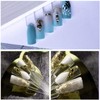 KRISMYA Set of 4 Total 200 Pcs Clear Nail Swatches