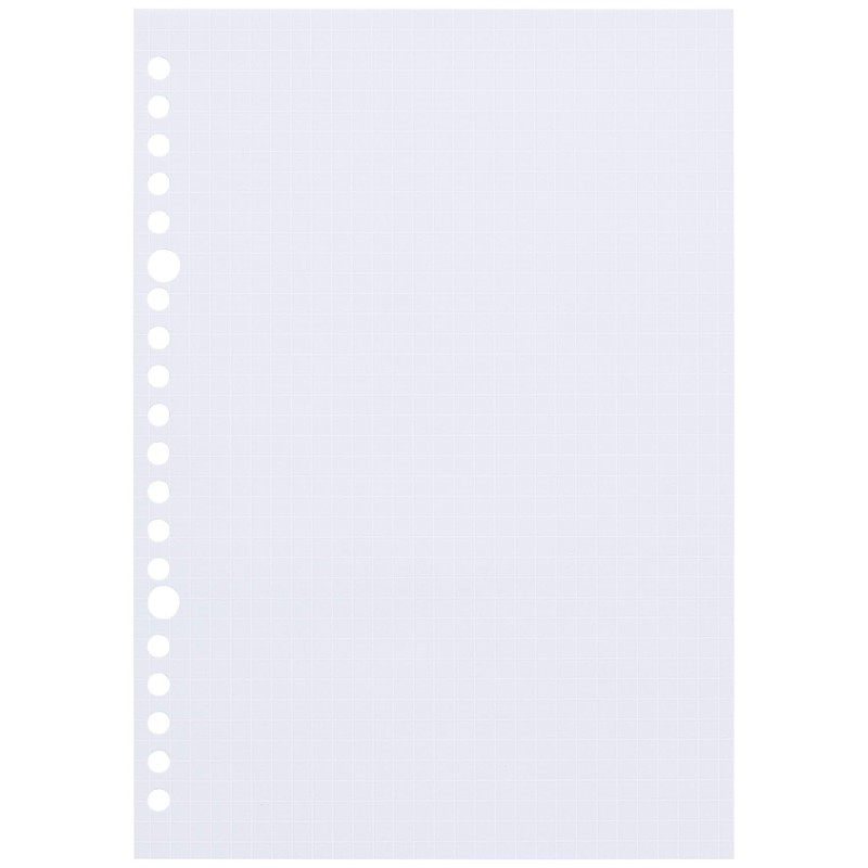 Maruman B5 L1232-99 Loose Leaf Dull Color Assortment, 0.2 inch