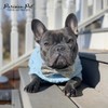 Parisian Pet Dog Sweater - Pull Over, Turtle Neck Blue