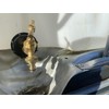 IBC Tank Adapter S60X6 to Brass Garden tap with Click-Lock