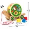 Hape Walk A Long Snail Wooden Push Pull Shape Sorting