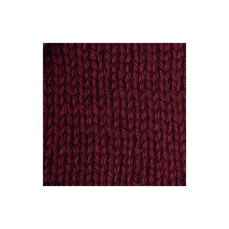 Caron Simply Soft Acrylic Aran Knitting Wool Yarn 170g -