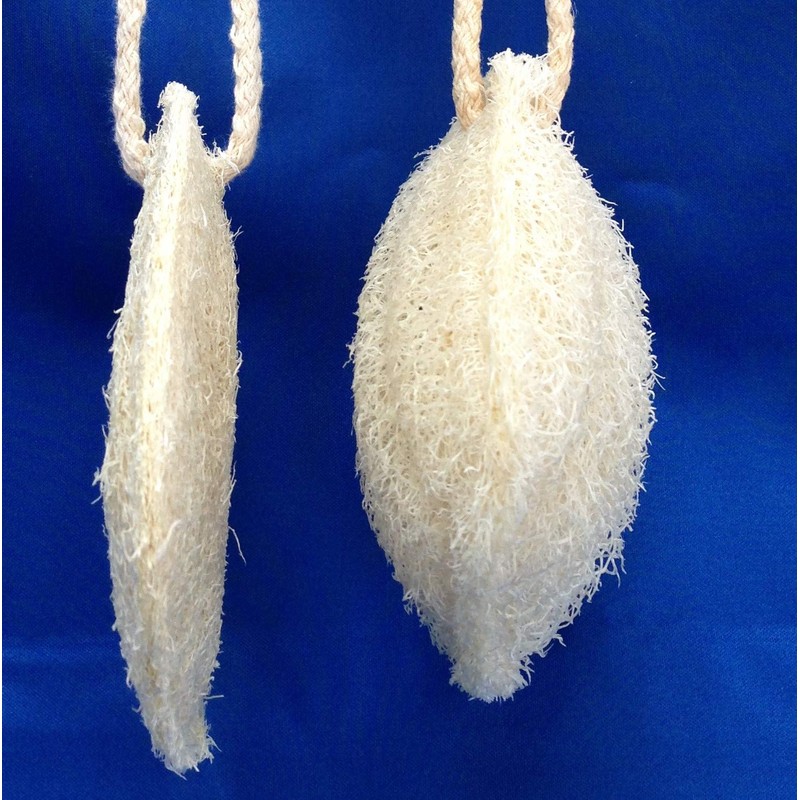 LoofCo Cleaning Pad 2-pack SET OF 2