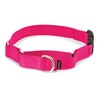 PetSafe Martingale Dog Collar with Quick Snap Buckle