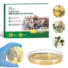 Mold Test Kit for Home - 1 Simple Mold Test kit,Test HVAC System,Surfaces & Indoor Air Quality,DIY Mold Detector at Home,Includes Detailed Mold Identification Guide,air Tester