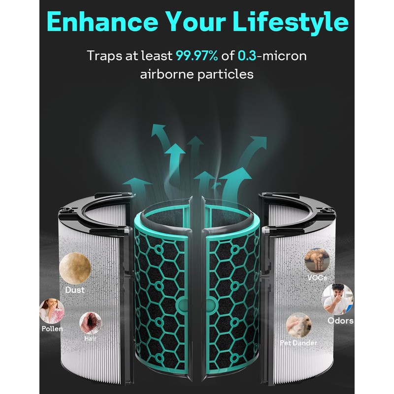 Leemone 2 Pack TP04 HP04 DP04 Filter Replacement Compatible with