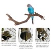 5PCS Bird Perch Stand Natural Wooden Parrot Stand Branch,3 Grape