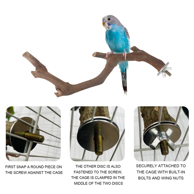 5PCS Bird Perch Stand Natural Wooden Parrot Stand Branch,3 Grape