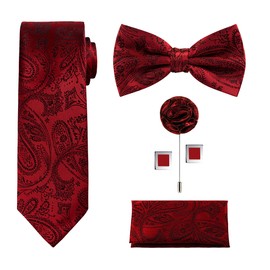 TIE G 5pcs Tie Set in Gift Box : Woven Paisley Necktie, Satin Bow Tie, Pocket Square, Lapel, Cuff Links (B-Wine Solid Paisley)