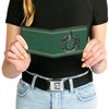Buckle Down Men's Wallet Slytherin Crest/stripe6 Weathered Greens/Grays Bi-Fold, Multi,