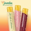 Jamba Smoothie Pops Variety Pack, 16 Count – 100% Fruit