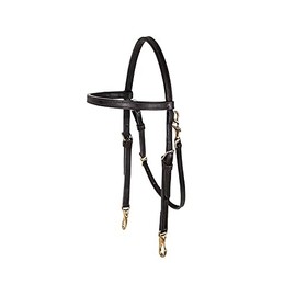 Premier Arabian Training Bridle for Horses | Premium Quality Buffalo Leather | Easy Bit Change | Double-Stitched Durability | Ample Adjustments | Aesthetically Pleasing Dark Oil Finish