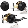Probrico Entrance Lever Door Handle, Reversible for Right and Left
