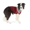 Reddy Burgundy Colorblock Dog Sweater, 3X-Large