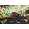 4D Cityscape Game of Thrones (GoT) 3D Puzzles (3D Map