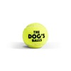 The Dog's Balls, Dog Tennis Balls, Quality Dog Toys, Premium