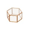 Hexagon Shape Geometric Transparent Glass Flower Room Glass Ring Box