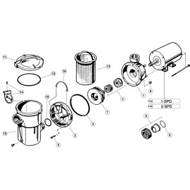 Hayward SPX1705Z1 Housing O-Ring Gasket for SP1700 PowerFlo II Pool Pump