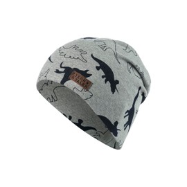 Sterntaler Boys Hat, silver