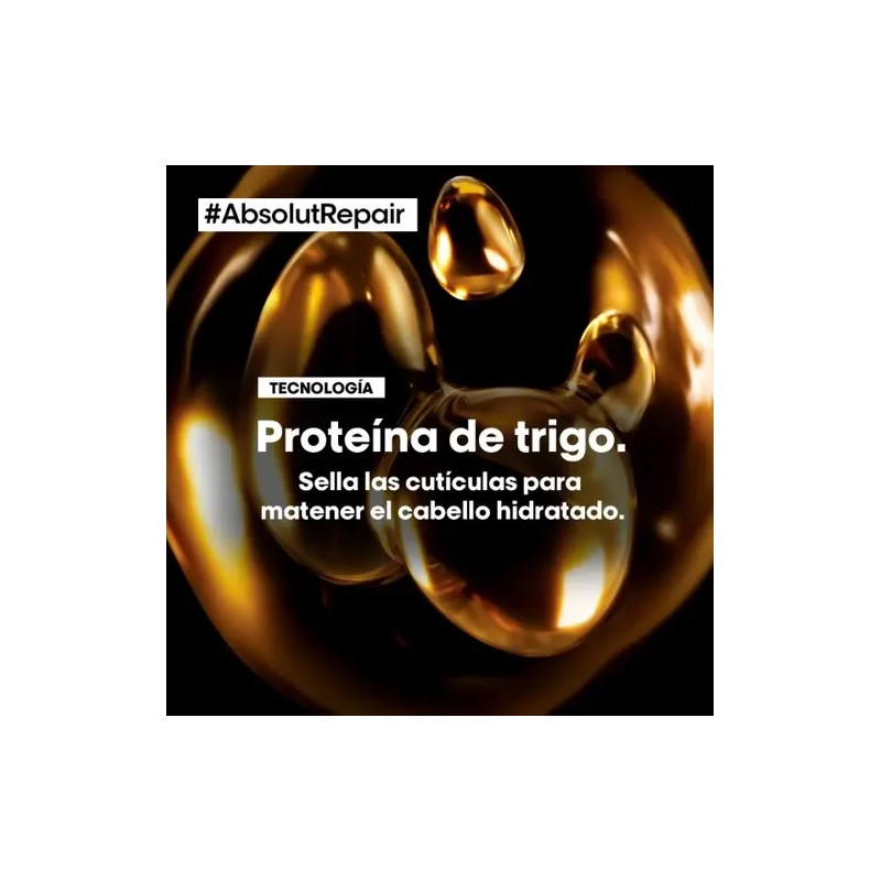 Kit L'oreal Professionnel Repair Shampoo 1500ml+ Mask 500 Ml